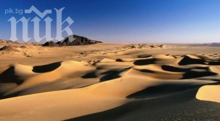 телата мигранти намерени пустиня