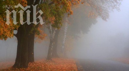 почваме деня мъгли после слънце