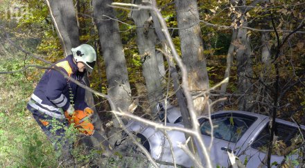 дърво уби младеж гоце делчев