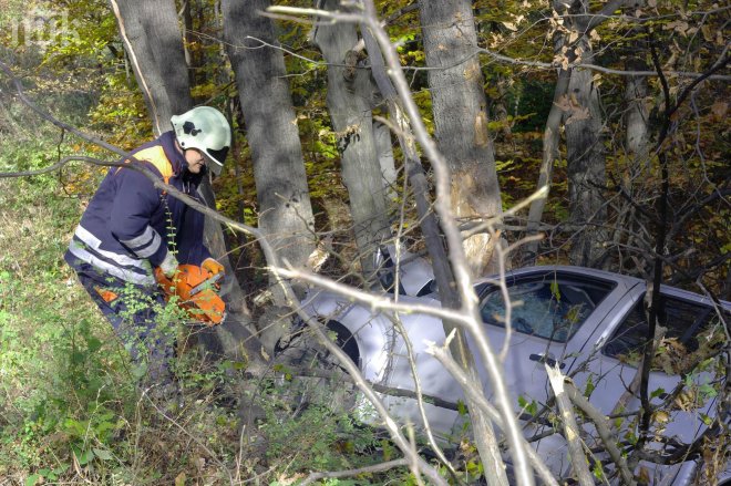 Дърво уби младеж край Гоце Делчев