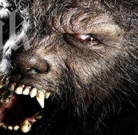 Космато бебе си роди семейство върколаци