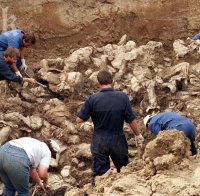 Откриха най-големия масов гроб в Босна