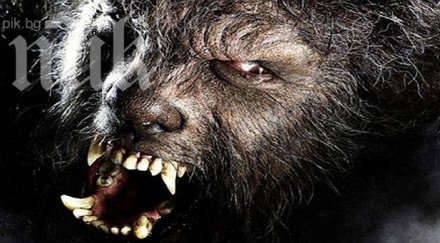 космато бебе роди семейство върколаци