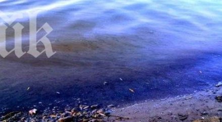 мазни петна плуват дунав