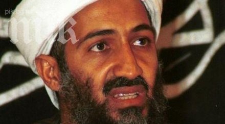 бизнесмен иска $25 млн награда главата осама бин ладен