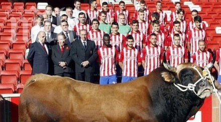 футболен отбор снима реклама бикове крави