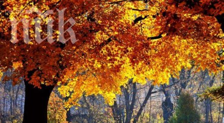 регистрирани пет температурни рекорда