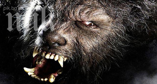 Космато бебе си роди семейство върколаци