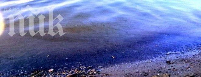 Мазни петна плуват по Дунав