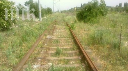 камион заби влак