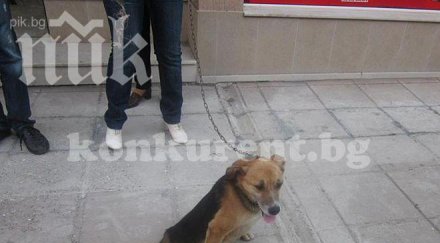 чудовищно изверг отряза задните крака кученце