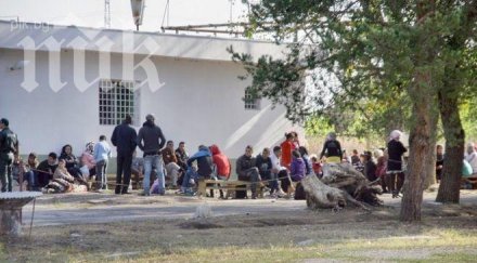 иракчанка роди бебенце бежанския лагер ковачевци