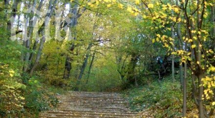 валежите спират захладнява