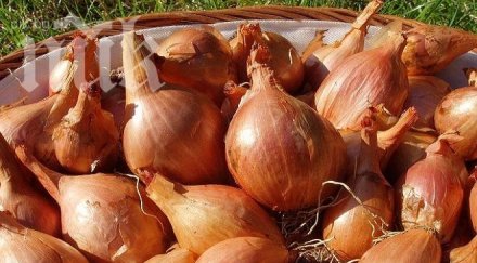 лукът помага борбата сърдечните заболявания