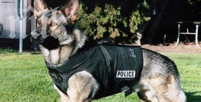 Полицейските кучета ще получават пенсия