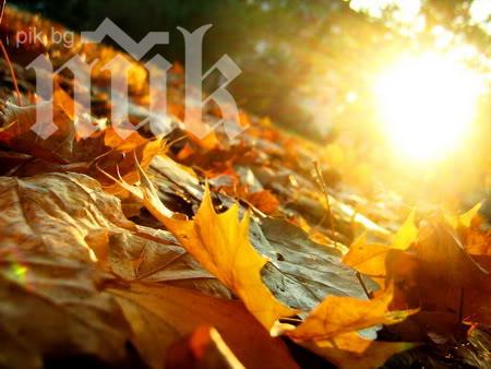 И днес ноемврийската пролет продължава