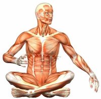 Хирурзи откриха неизвестна досега част на човешкото тяло