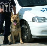 Полицията в Русе издирва въоръжен крадец