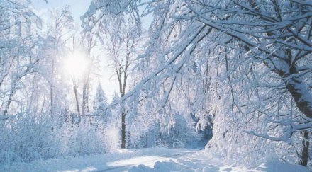 бан жесток сняг затрупва страната ноември