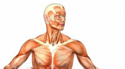 хирурзи откриха неизвестна досега част човешкото тяло