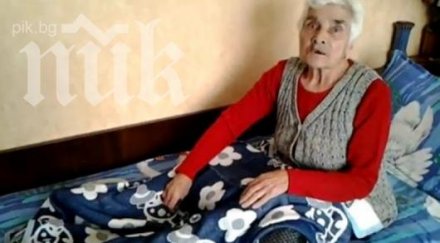 бездомно куче разкъса баба пернишко видео