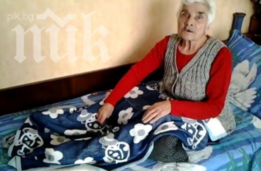 Бездомно куче разкъса баба в Пернишко (видео)