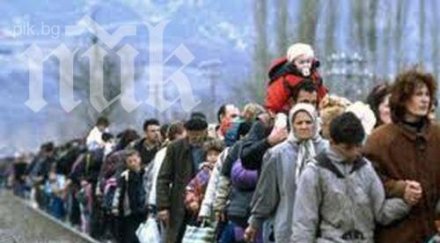 висш сирийски военен роднините избягали българия