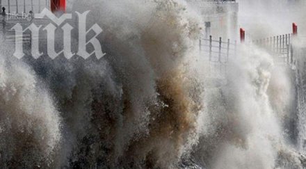 тайфунът хаян уби виетнамци рани