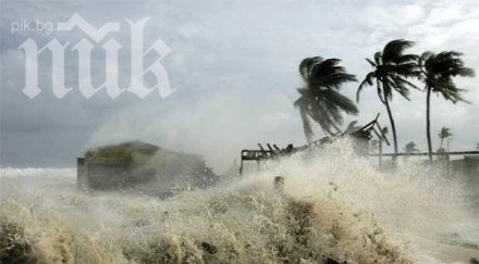 около хиляди жертвите тайфуна хаян 660 хиляди без дом