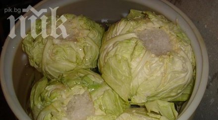 зимната трапеза остава без кисело зеле заради високите температури