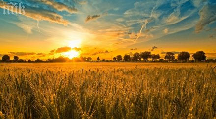 уникално откритие учени натъкнаха ранните наченки живот земята