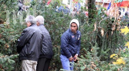 споделяната снимка опика борисовата градина