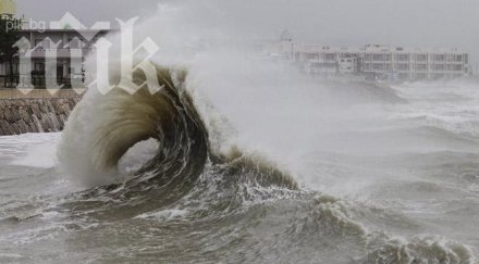 3600 вече жертвите тайфуна филипините