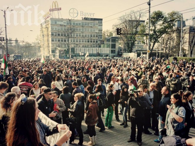 Менда Стоянова моли: Не снимайте отблизо митинга на ГЕРБ