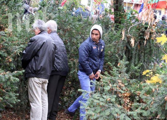 Най-споделяната снимка днес: кой опика Борисовата градина?