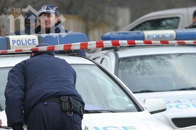 Полицейски патрулки на всяка зебра паркират днес в столицата