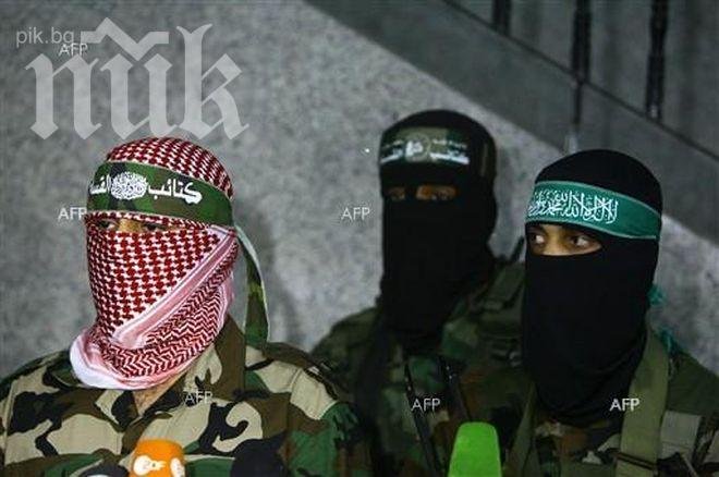 Мюсюлманското братство предложи преговори в Египет