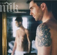 Най-секси мъж за 2013 г. е певецът Адам Лавин