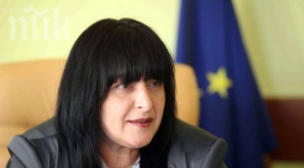 скандалната камелия лозанова аут агенцията заетостта