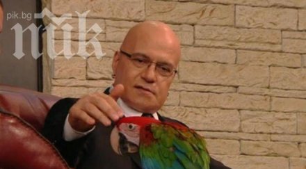слави изгаври певицата властта петя буюклиева приличала папагала