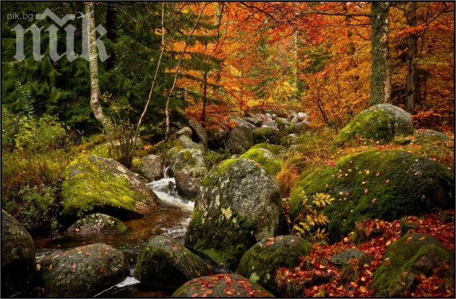 Днес се затопля, температурите ще стигнат 17 градуса