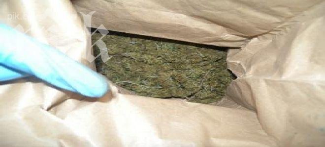 Криминалисти иззеха наркотици и бойно снаряжение в дом в Монтана