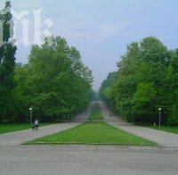 Съдът отново спря колите в Морската градина във Варна