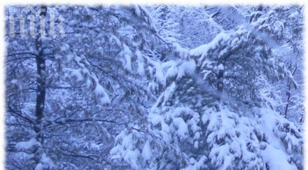 синоптици коледа лято нова година снежен апокалипсис дълбоки преспи години насам