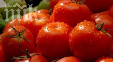 смъртоносни домати бром паникьосаха пловдив