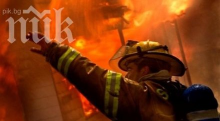 пожарникар спасил коте трогна света видео