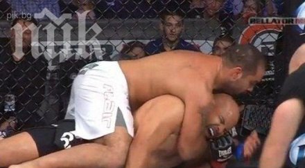 багата пак мачка разбиха носа видео