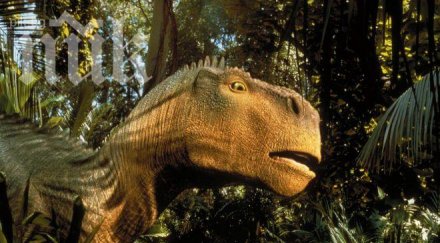 ужас откриха огромен непознат звяр лапал мръвка