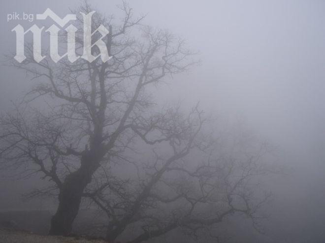 Утре топло, с мъгли и малко дъжд