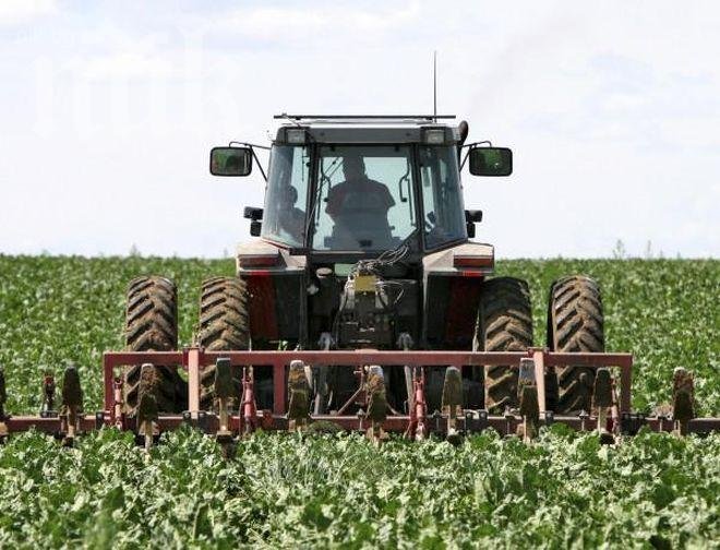 Румъния разреши на граждани на ЕС да купуват земеделска земя